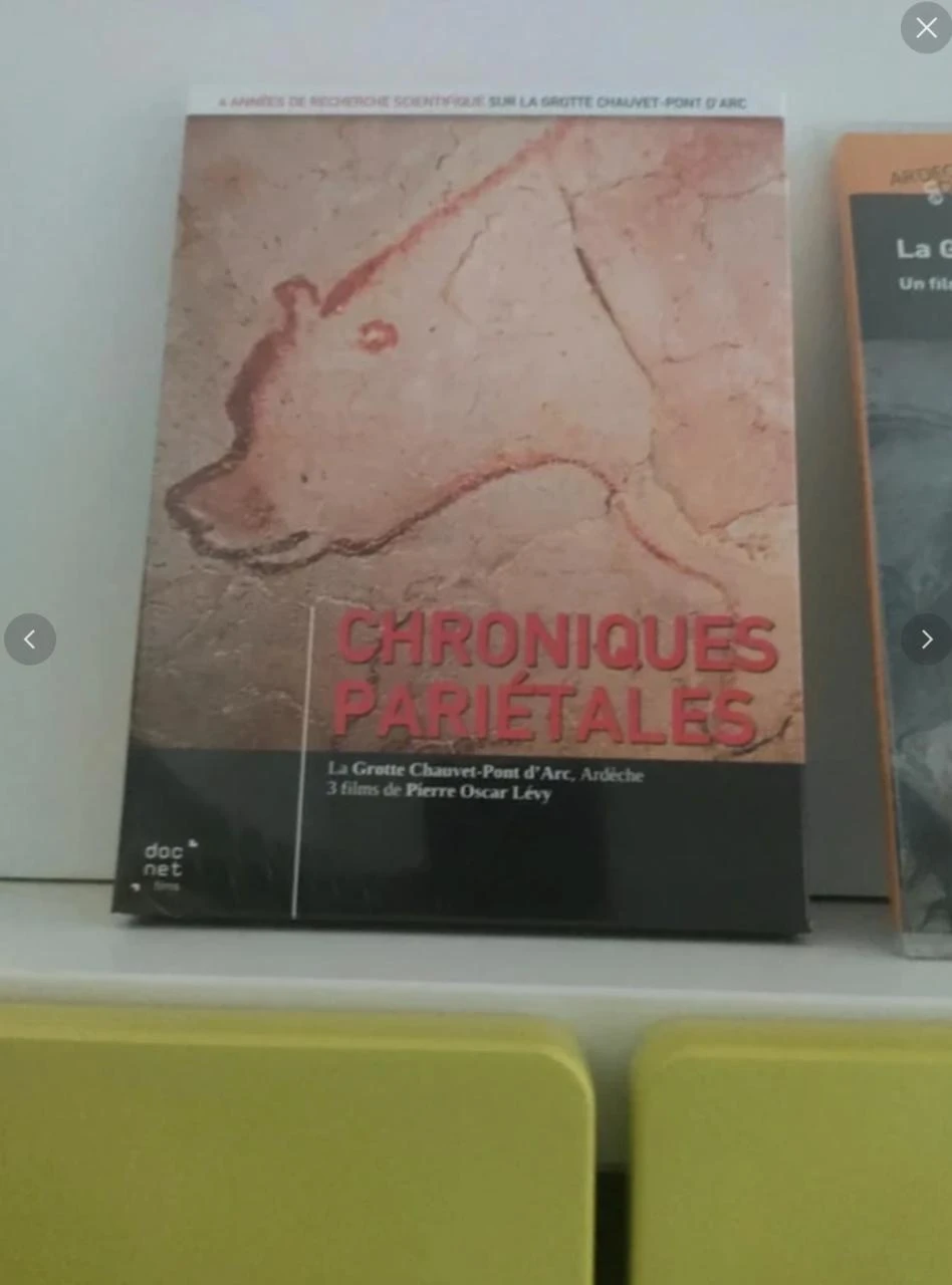 Coffret DVD sur la grotte Chauvet en Ardeche – photo 3